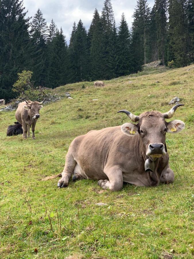 Fewo Gotschna Haus Bargis Klosters Luaran gambar