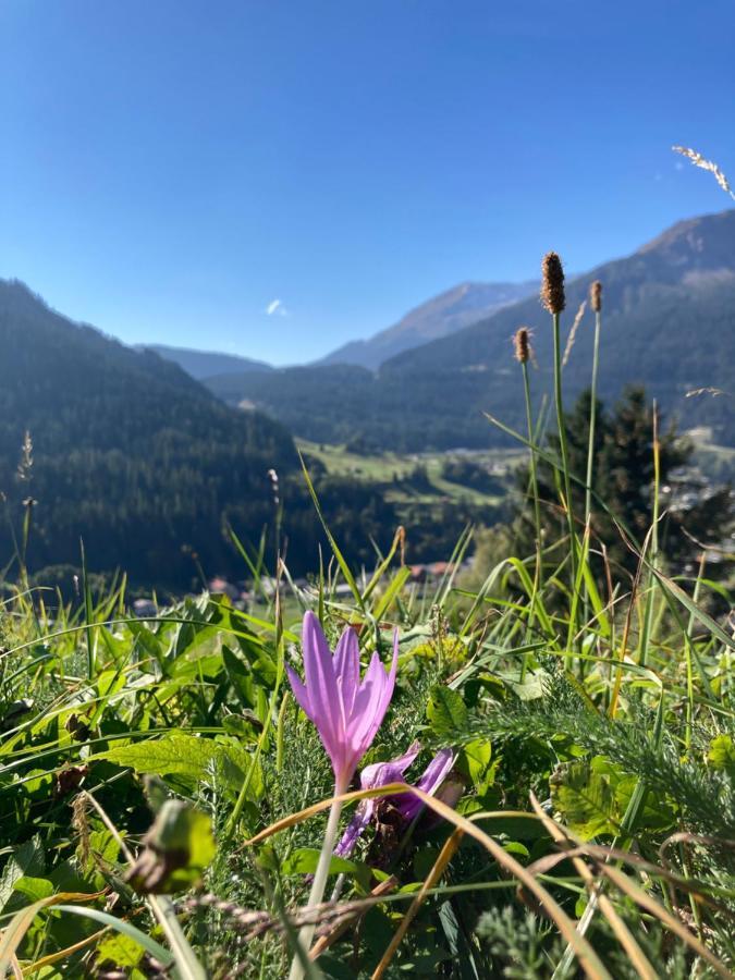 Fewo Gotschna Haus Bargis Klosters Luaran gambar